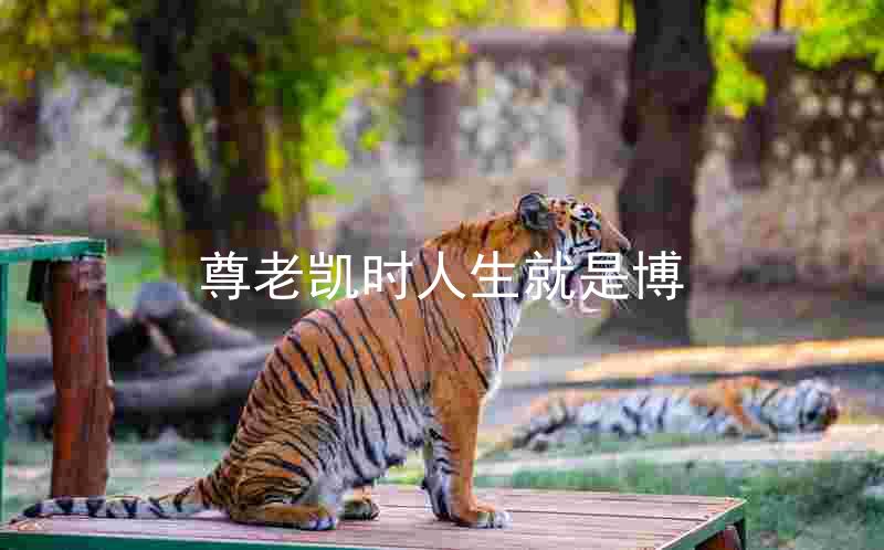 尊老凯时人生就是博