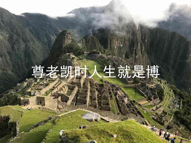 尊老凯时人生就是博