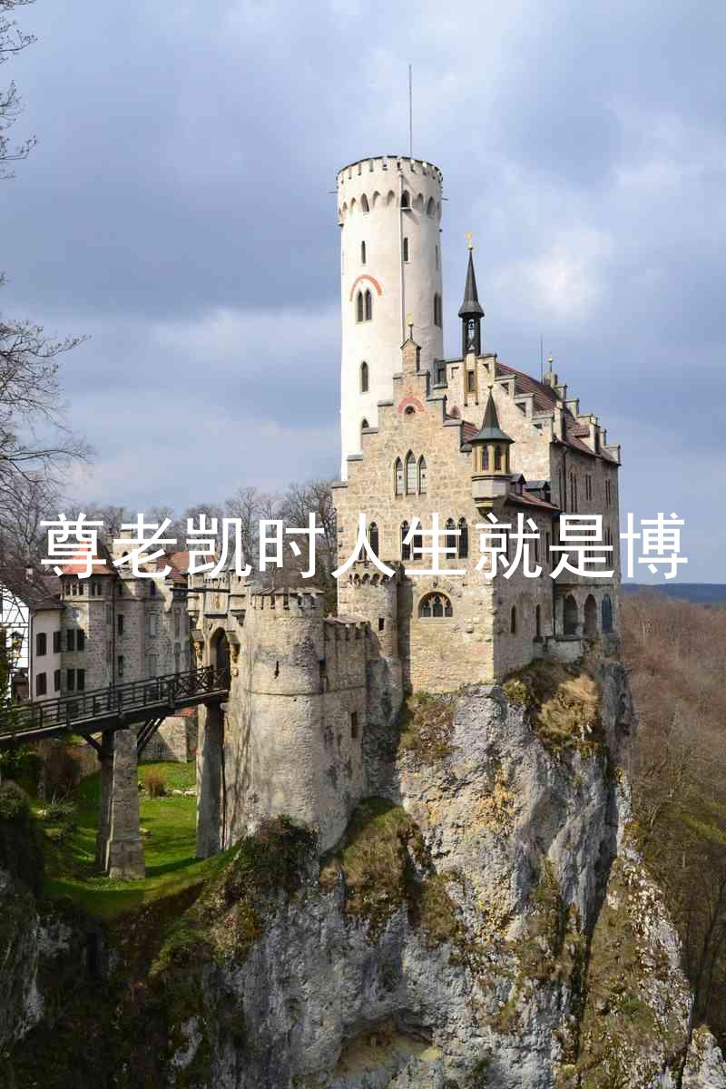 尊老凯时人生就是博